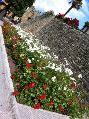 Mura Castellane - Monte San Savino